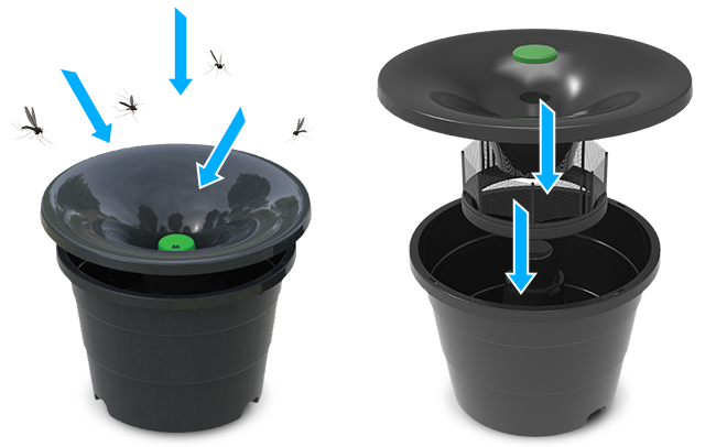 mosquito trap system