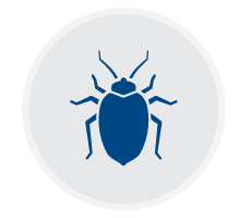 bedbug page icon