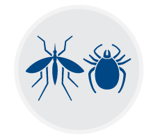 mosquito tick page icon
